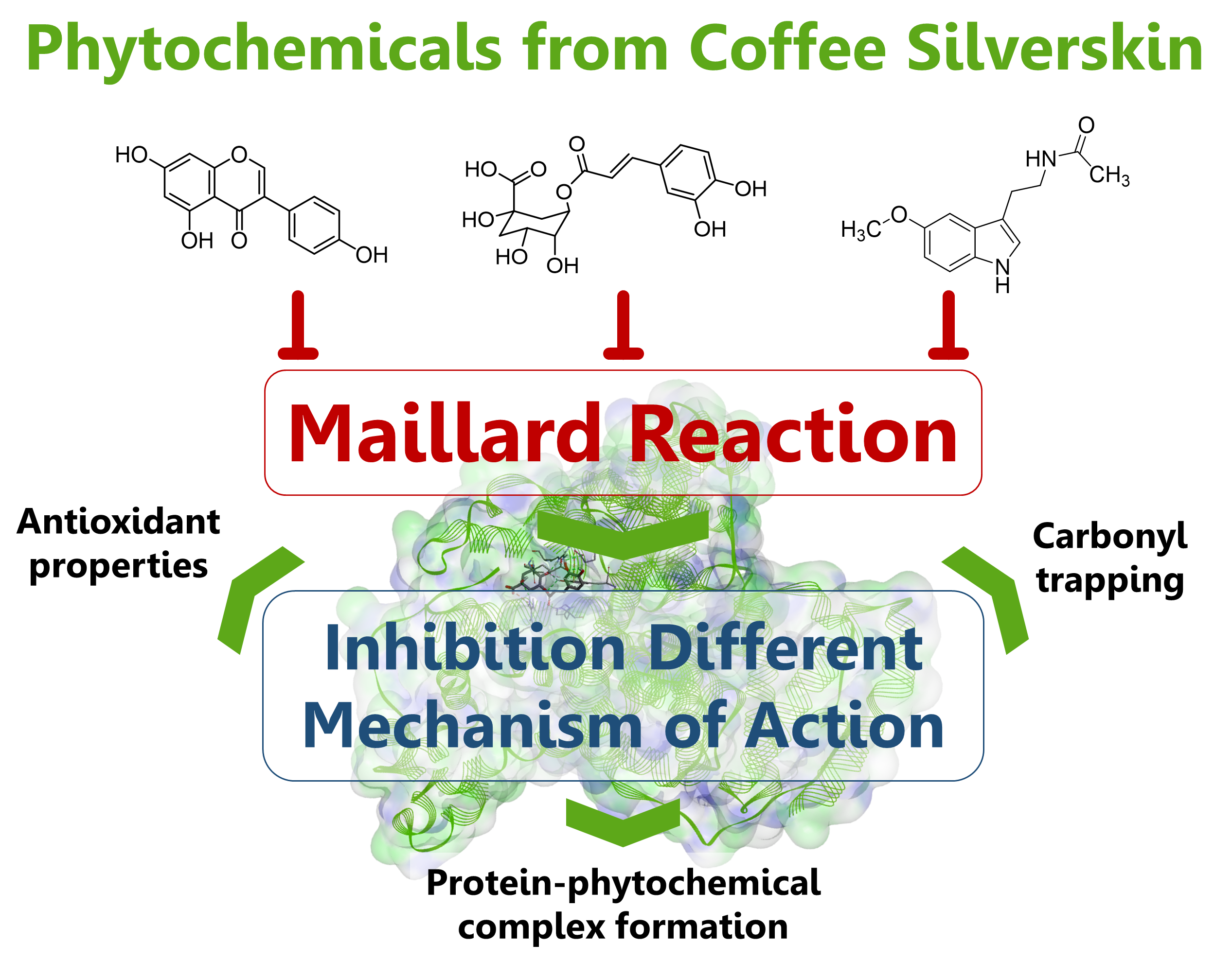 Inhibition of the Maillard Reaction by Phytochemicals Composing an Aqueous Coffee Silverskin Extract via a Mixed Mechanism of Action