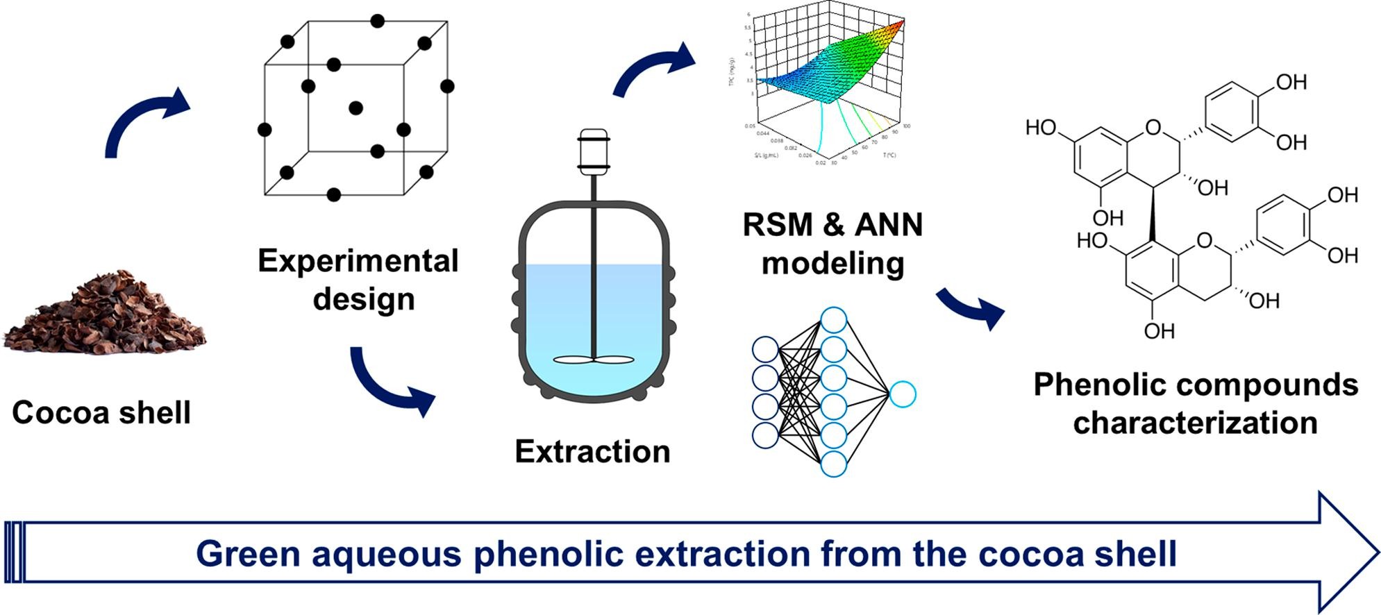 Extraction of phenolic compounds from cocoa shell: Modeling using response surface methodology and artificial neural networks